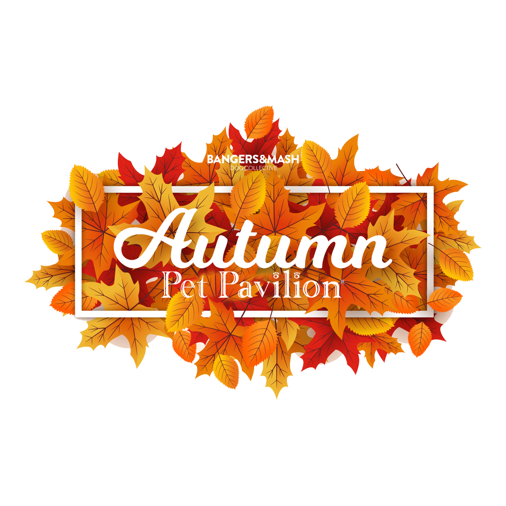 Autumn Scaries — instadoggo